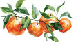 Watercolor artistic work of ripe tangerines ready for
