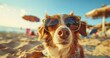 Dog, summer sunglasses, beach, close-up, playful, clear, detailed, sunny holiday spirit.