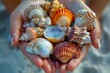Seashell Collection
