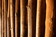 warm-toned wooden logs lined up creating a textured backdrop
