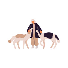Wall Mural - Owner strolls purebred Afghan hounds or Russian Hunting Sighthounds. Woman walks her fluffy puppies. Abstract person pets her borzois, cares about dogs. Flat isolated vector illustration on white