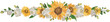 Sunflower line border illustration on transparent background.