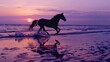 a horse running on the beach