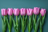 Fototapeta Tulipany - minimalist background with spring motiv professional photography