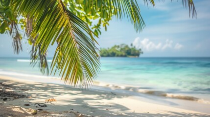 Wall Mural - Beach Background. Tropical Island with Palm Trees on Sandy Shoreline