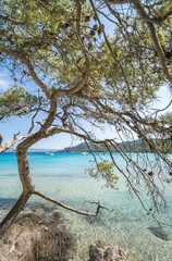 Wall Mural - Beautiful Notre Dame beach (Plage Notre-Dame) on Porquerolles island (l'île de Porquerolles), France