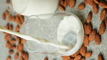 Wall Mural - Almond milk pouring in a glass on grey background, vertical slow motion.