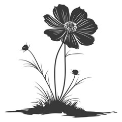 Silhouette cosmos flower in the ground black color only