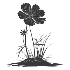 Silhouette cosmos flower in the ground black color only