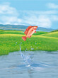 un poisson tilapia rouge qui saut et sort de l'eau avec splash
