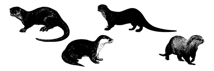 Wall Mural - otter vector