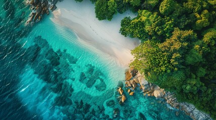 Wall Mural - A beautiful beach with a clear blue ocean and a lush green forest in the background. The water is calm and the sky is clear