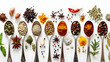 Top view of different spices in spoons on a white background