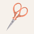 Metal vintage scissors with red handles. Sewing or tailoring tools kit single icon in flat style vector symbol stock illustration. Illustration with various scissors for grooming.