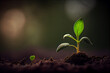 A small green sprout sprouted from the ground against a dark blurry background. 