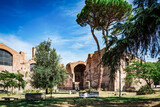 Fototapeta Las - Ancient, beautiful, incredible Rome.