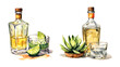 Tequila, watercolor clipart illustration with isolated background.