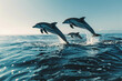 dolphins leaping out of the water