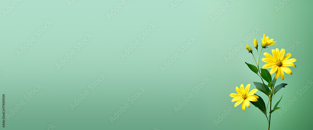 vibrant yellow flower with green leaves set against a soft green ...