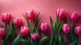 Fototapeta Tulipany - Vibrant Pink Tulips Symbolizing Love for Mother's Day Celebration.