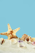 Seashells and starfish on the sand.