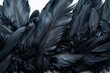 Luxurious Black Feathers Texture Close-Up