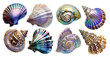 Holographic magical mollusk shells over white transparent background