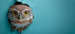Banner with owl head peeking through a hole in a blue paper wall.