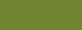 Fototapeta Do pokoju - Solid Green Background Banner with copy space - spring color, modern decoration