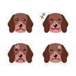 Set of character german shorthaired pointer dog faces showing different emotions for design.