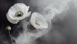 Fototapeta Kwiaty - Białe kwiaty maki