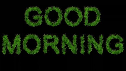 Wall Mural - Beautiful illustration of good morning text with green grass effect on plain black background