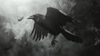 Crow and magic black atmosphere