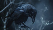 Crow and magic black atmosphere