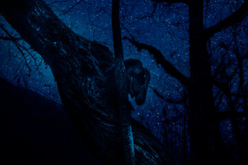 Wall Mural - mountain road through the forest on a full moon night. scenic night landscape of country road at nig