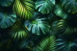 Tropical seamless pattern modern jungle palm leaves, trees, floral pattern design for fashion, fabric wallpaper, and all prints on black backgrounds.