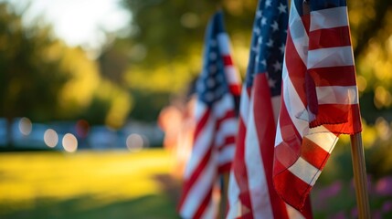 Poster - US national flag in park