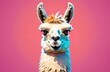 Illustration. Portrait of a llama on a pink background. Print on clothes