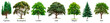 Set of different trees isolated on a white or transparent background. Bundle of trees with green leaves close-up, front view. Graphic design element on the theme of nature and caring for trees.