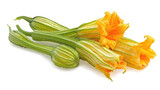 Fototapeta Kuchnia - Flowering baby zucchini or courgette, isolated on transparent.