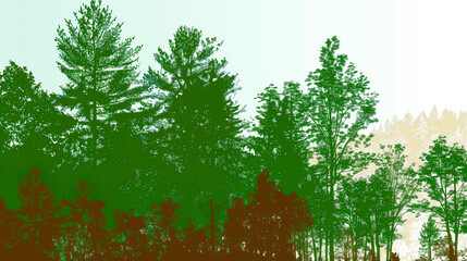 Forest. Carbon sink. Stylized illustration of a forest. Copy Space. Background