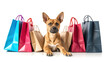 Cute dog sitting among many colorful packages. White background. Concept of selling, shopping, goods for animals