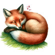 Curled fox in watercolor technique - An intricately painted fox curls up sleepily with vibrant orange and transparent fur, capturing a moment of rest