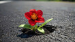 Generative KI rote Blume wächst auf Strasse