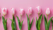 Pink tulips in a row on pink background. Top view. Copy space for text.