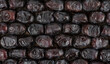 The surface texture of dried dates. Panoramic background with natural oriental sweets.