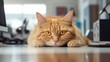 © Yevheniiya - Focused Feline: The Office Cat on Duty. Generative ai