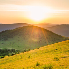 Wall Mural - sunset in mountains with forest, green grass and sun on sunset dramatic sky