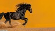 A black Friesian horse galloping in the desert, with its mane flowing and long legs kicking up dust against an isolated yellow background. 