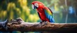 Vibrant and brightly colored parrot perched on a lush green branch in a beautiful tropical setting with vibrant foliage